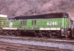 BN 6246